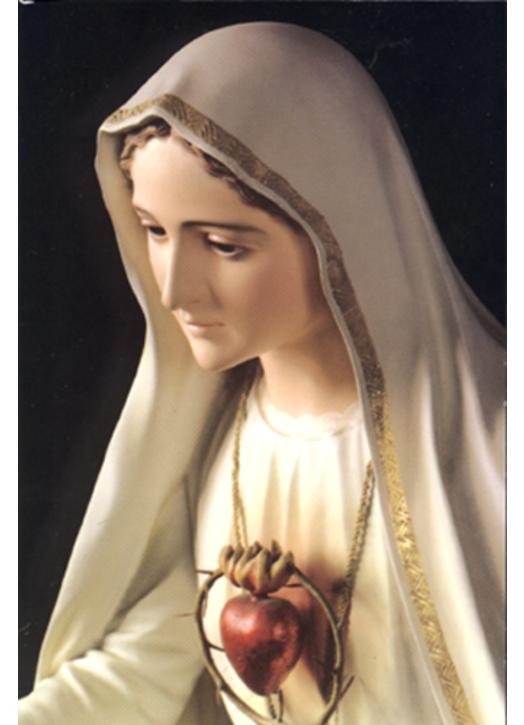 Lire la suite à propos de l’article Fête du Cœur Immaculé de Marie 2023