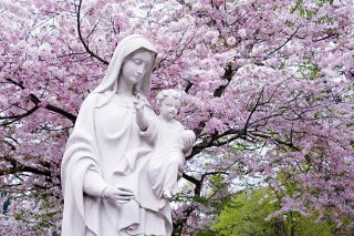 Lire la suite à propos de l’article Le secret admirable du Très Saint Rosaire  (12)- Saint Louis Marie Grignion de Montfort