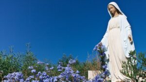 Lire la suite à propos de l’article Le secret de Marie, Saint Louis-Marie Grignion de Montfort, n°45-46