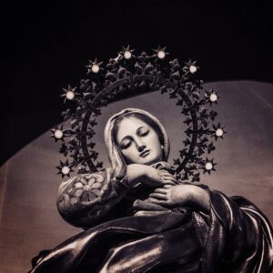 Lire la suite à propos de l’article Le secret de Marie, Saint Louis-Marie Grignion de Montfort, n°54