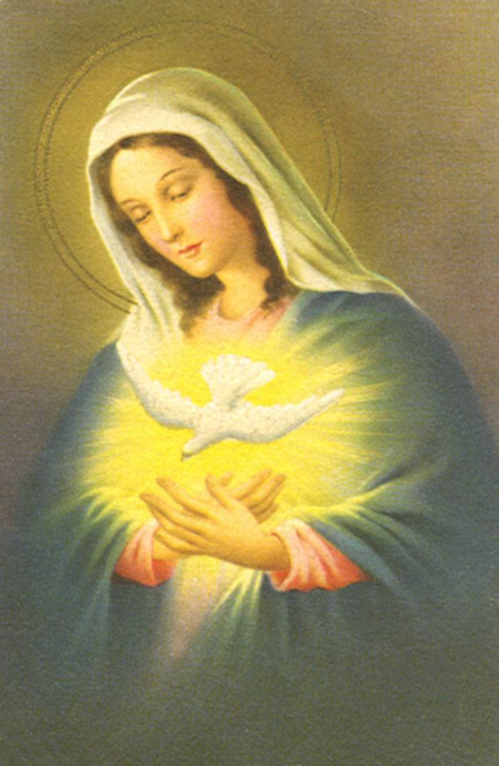 Lire la suite à propos de l’article Le Saint-Esprit agit seulement en Elle et par Elle ( St Maximilien Kolbe)